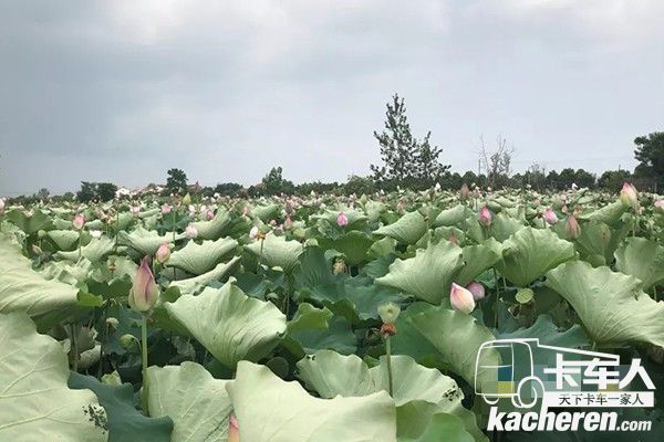 救援3小時(shí)達(dá),保障農(nóng)產(chǎn)品新鮮安全