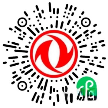 東風凱普特,東風多利卡,雙十一,輕卡