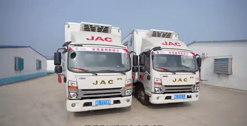 鮮活蝦苗運(yùn)輸 廣東林威的錦囊妙計(jì)是“帥鈴冰博士”!